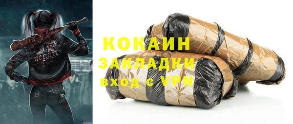 прущие крисы Каменка