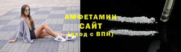 apvp Инсар