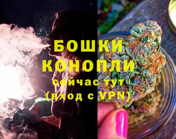 прущие крисы Каменка