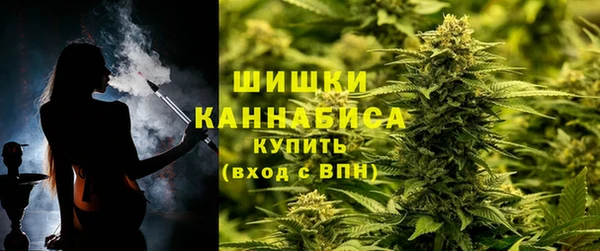 прущие крисы Каменка