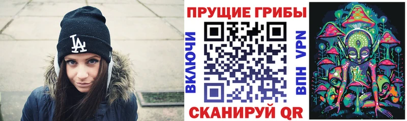 Псилоцибиновые грибы мицелий Челябинск